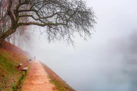 Path in autumn mist along the river Stock Photos