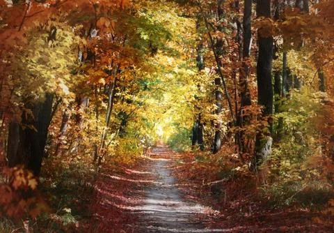 Path in the autumn park Stock Photos