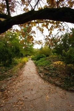 Path Autumn Scene Stock Photos