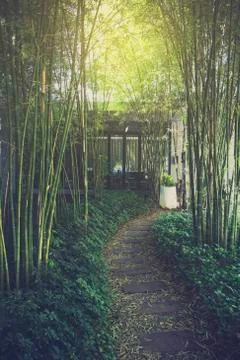 Path with bamboo garden Stock Photos