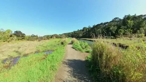 Path to beach along side tranquil stream Stock-Footage 205124511