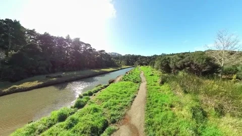 Path to beach along side tranquil stream Stock-Footage 205124571