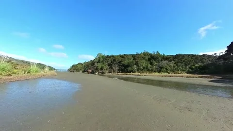 Path to beach along side tranquil stream Stock-Footage 205124662