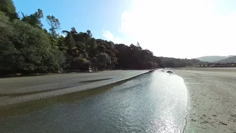 Path to beach along side tranquil stream Stock Footage 205124666