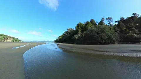 Path to beach along side tranquil stream Stock Footage 205124679