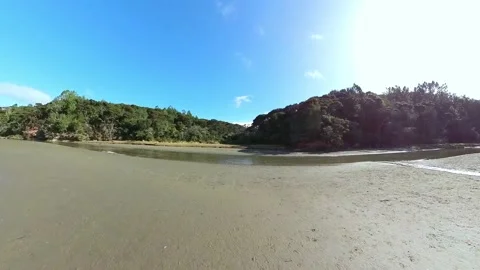 Path to beach along side tranquil stream Stock Footage 205124686