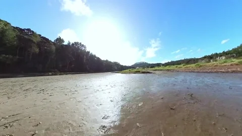 Path to beach along side tranquil stream Stock Footage 205124689