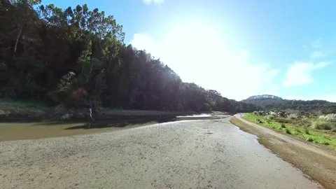 Path to beach along side tranquil stream Stock-Footage 205124703