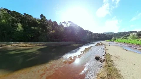 Path to beach along side tranquil stream Stock Footage 205124722