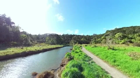 Path to beach along side tranquil stream Stock-Footage 205124727
