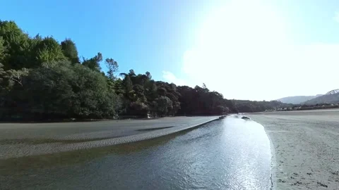 Path to beach along side tranquil stream Stock Footage 205124731