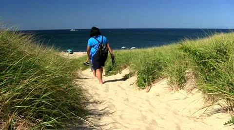 Path to beach Cape Cod; 2 Stock Footage 12373324