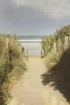 Path to the beach with cloudy sky Stock Photos