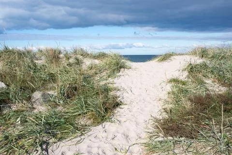 Path to beach in Denmark Stock Photos