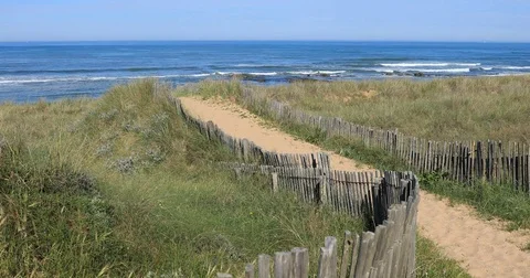 Path to the beach Stock Footage 75839744
