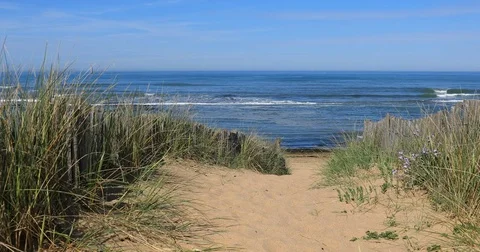 Path to the beach Stock Footage 75839758