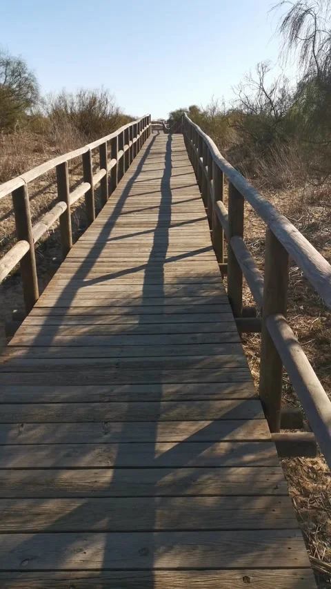 Path to the beach 動画素材 132430976