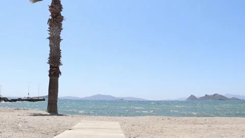 Path on the Beach Stock Footage 236659325