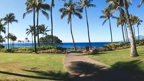Path to the Beach Stock Footage 243953584