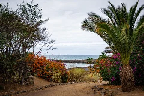 Path to the beach with ocean views in Puerto de la Cruz Stock Photos