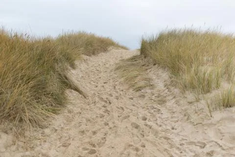 Path to the beach Foto stock
