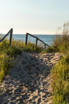 Path to the beach Foto stock