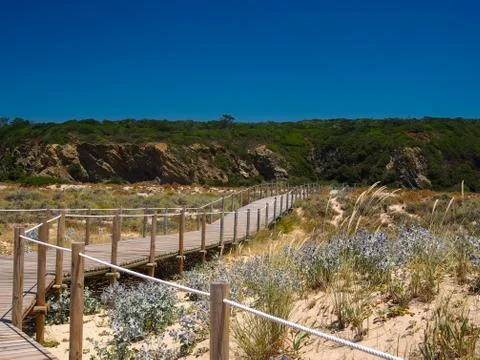 Path to the beach Stock Photos