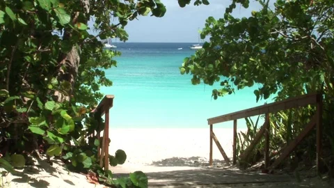 A path to the beach, ST. John, USVI Stock Footage 72571484