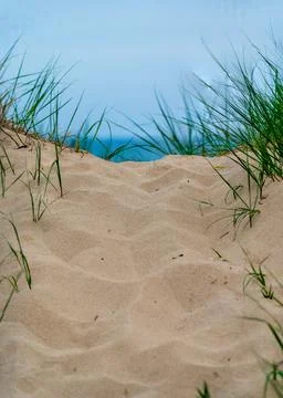 A path to the beach in summer Stock Photos