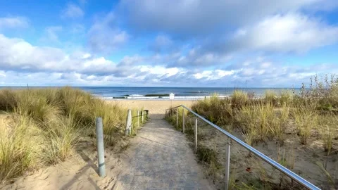 Path to the beach through the dunes, sunny day Stock Footage 297612984