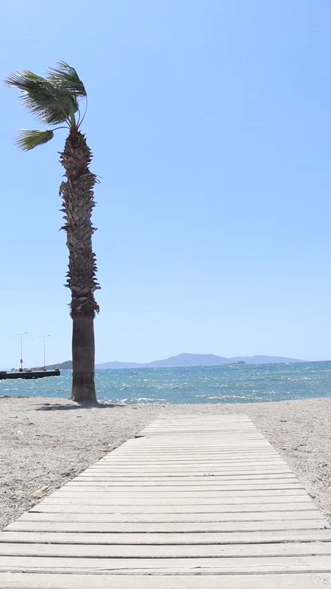 Path on the Beach (Vertical) Stock Footage 236659392