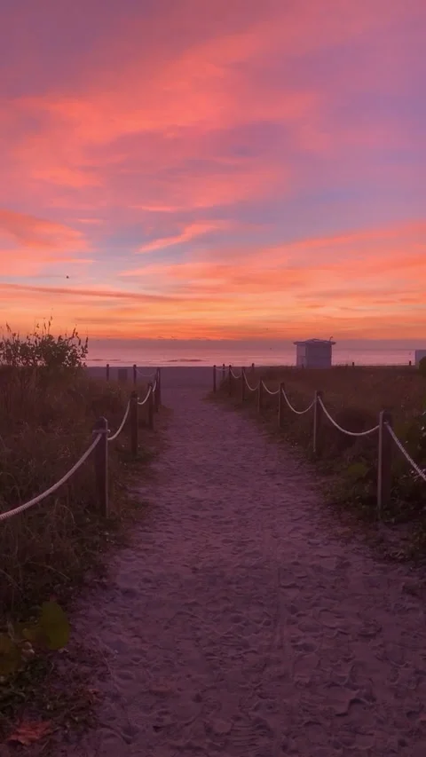 Path to Beach Vertical HD Stock Footage 175845994