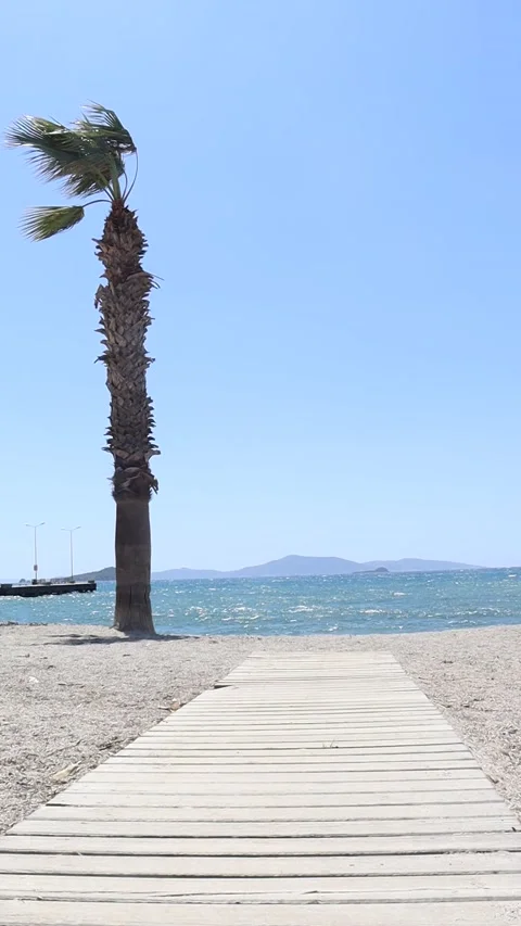 Path on the Beach (Vertical Slow Motion) Stock Footage 236659585