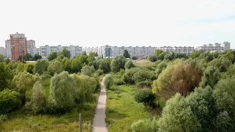 A path in a beautiful green Park Stock Footage 93449329