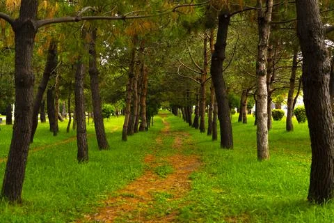 Path in a beautiful park Stock Photos