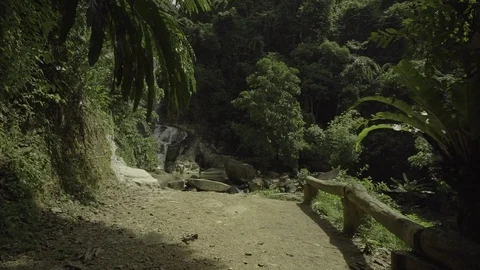Path to a beautiful waterfall in the forest1 Stock Footage 129521187