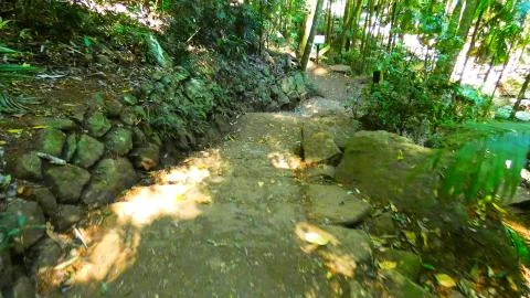 Path of Beauty Stock Photos