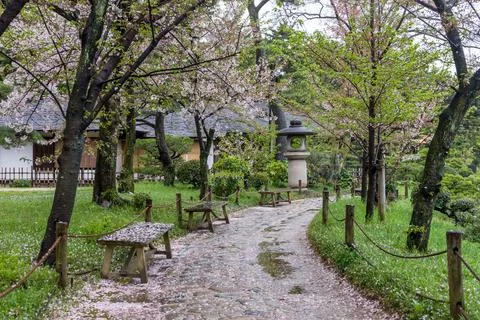 A path with a bench and a lantern in the middle Stock Photos