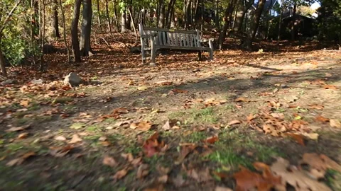 PATH TO BENCH Video stock 182998531