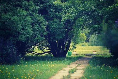 The path to the bench in the park 写真素材