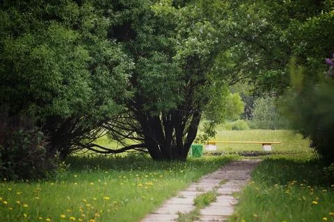 The path to the bench in the park 写真素材