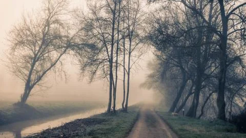 A path besides the river across the trees and the fog in Sils wetland in Giro Stock Photos