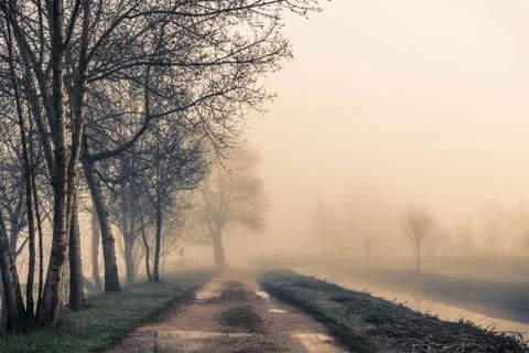 A path besides the river across the trees and the fog in Sils wetland in Giro Stock Photos