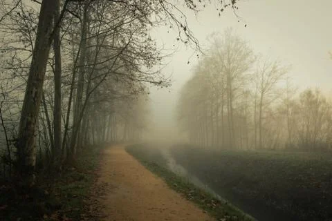 A path besides the river across the trees and the fog in Sils wetland in Giro Stock Photos