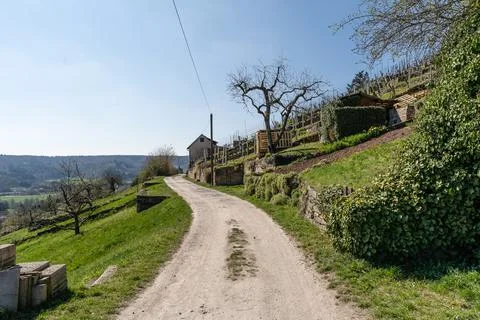 Path besides vineyard on hill Stock Photos