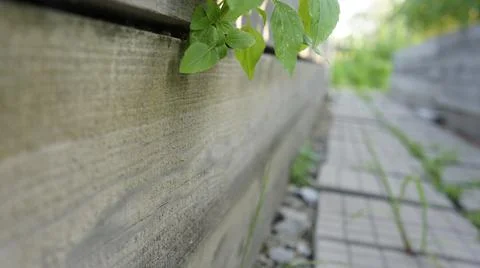 The path between the beds, paving stones in the garden Stock Photos