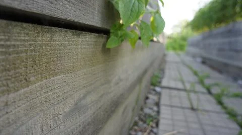 The path between the beds, paving stones in the garden Foto stock