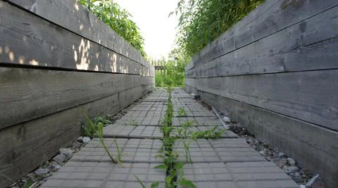 The path between the beds, paving stones in the garden Stock Photos