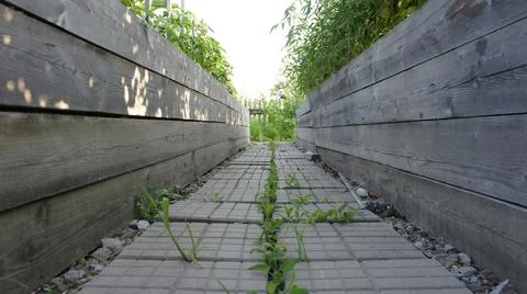 The path between the beds, paving stones in the garden Stock Photos