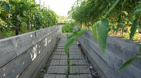 The path between the beds, paving stones in the garden Stock Photos